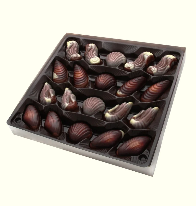 Maître Truffout Feine Meeresfrüchte Schokoladenpralinen 250g