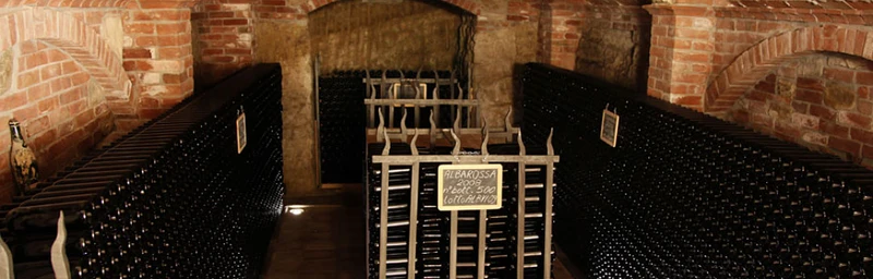 VIOTTI PIEMONTE AUTIGNAN - 75cl.
