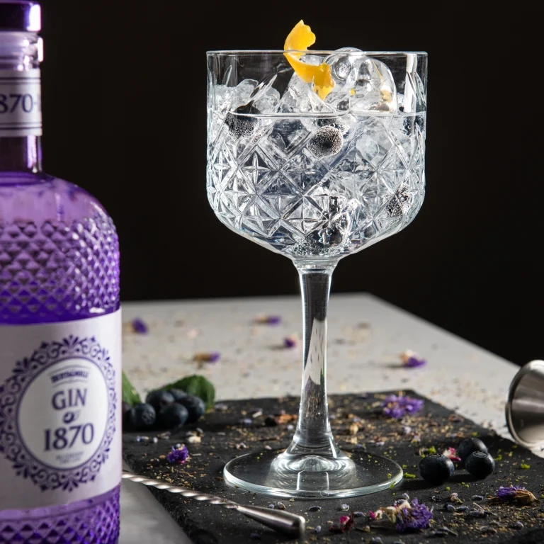 BERTAGNOLLI - Gin 1870 Raspberry und Blueberry Dry Gin - 70cl.