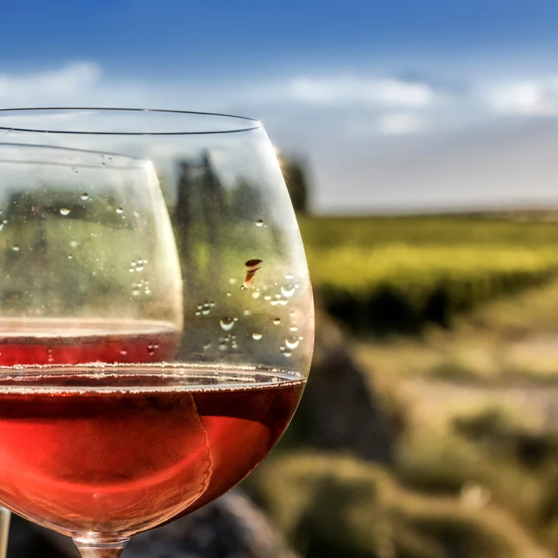 JORGE RUBIO - FINCA GABRIEL - Rosé Syrah, Fruchtiger Dulce Natural - 75cl.