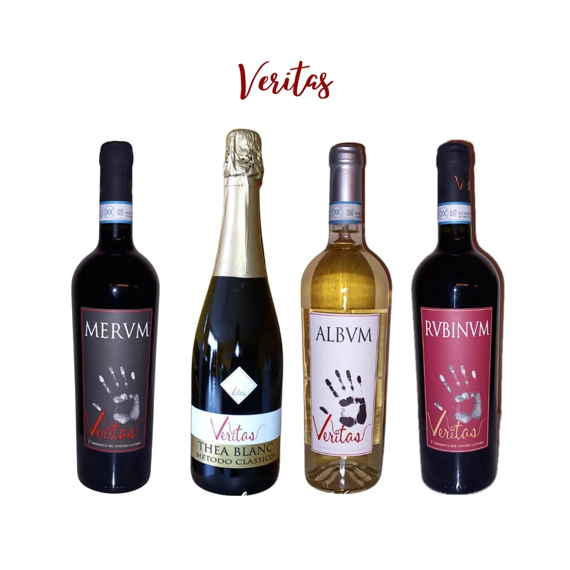 PIEMONT VERITAS :Wein Entdeckung mit unserer exklusiven Azienda Veritas!