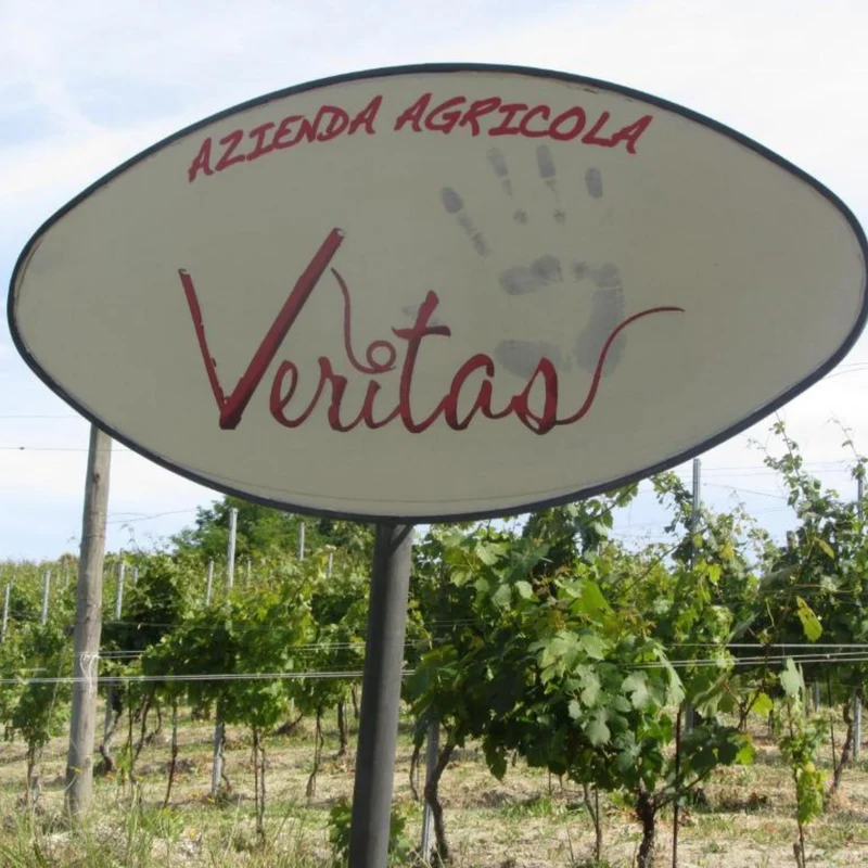 PIEMONT VERITAS :Wein Entdeckung mit unserer exklusiven Azienda Veritas!