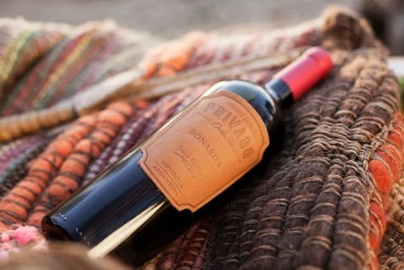 JORGE RUBIO Privado Oasis Sur Bonarda - 75cl.