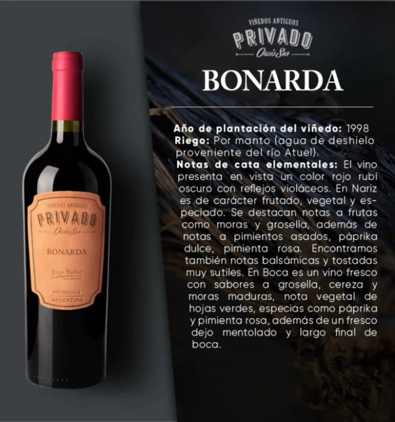 JORGE RUBIO Privado Oasis Sur Bonarda - 75cl.