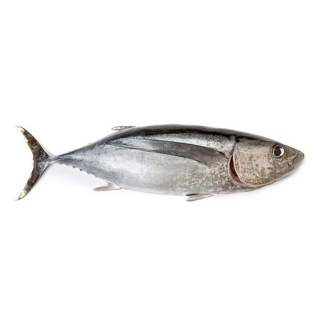 ARROYABE Weisser Thunfisch in Olivenöl - Dose 260g - Glas 185g