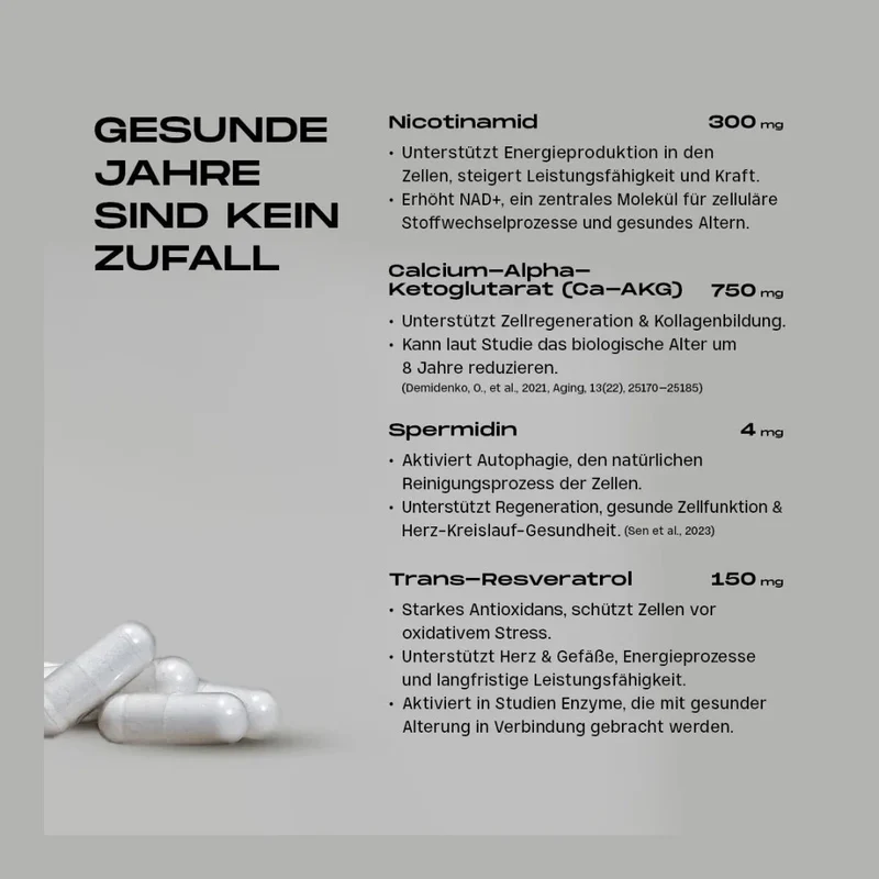Scharfenstein Longevity - ALL-IN-ONE (Retter-Version) - Vegan & Glutenfrei, 60 Kapseln