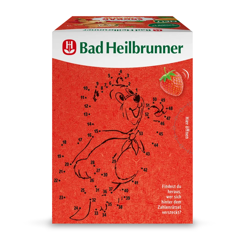Bad Heilbrunner - Bärenstarker Kindertee Erdbär & Orange - Vegan & Bio, 15 Filterbeutel