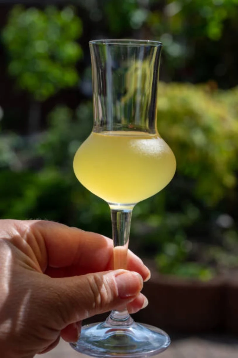 I DOLCI DI NONNA VINCENZA SIZILIA Limoncello 33% Vol. - 500ml