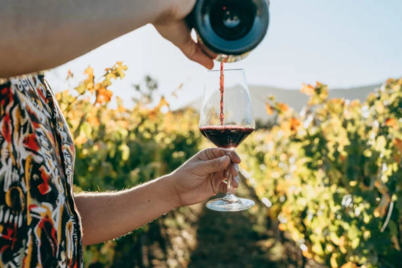 LA GUARDIA Leone Monferrato Rosso DOCG- 75cl.