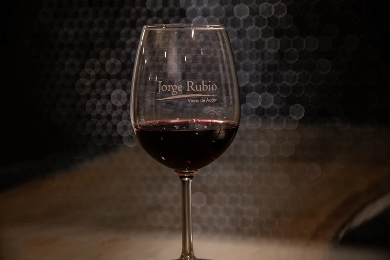 JORGE RUBIO Privado Oasis Sur Malbec - 75cl.
