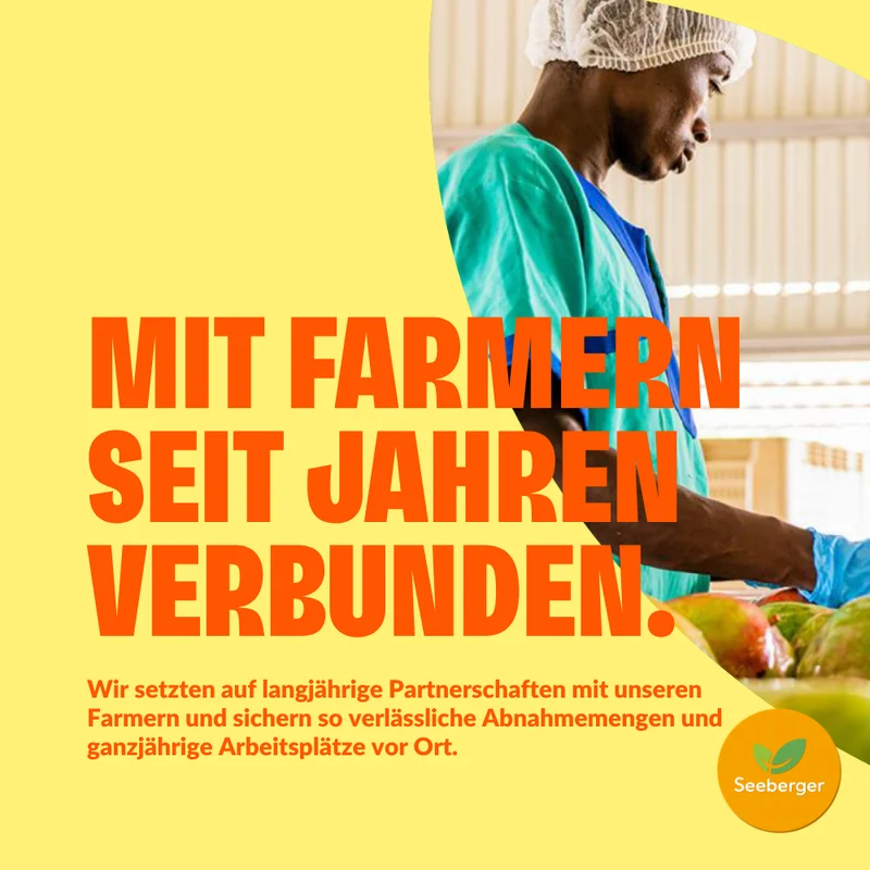 Seeberger getrocknete Mango Multipack – 6 × 100 g natürlich süßer Fruchtgenuss