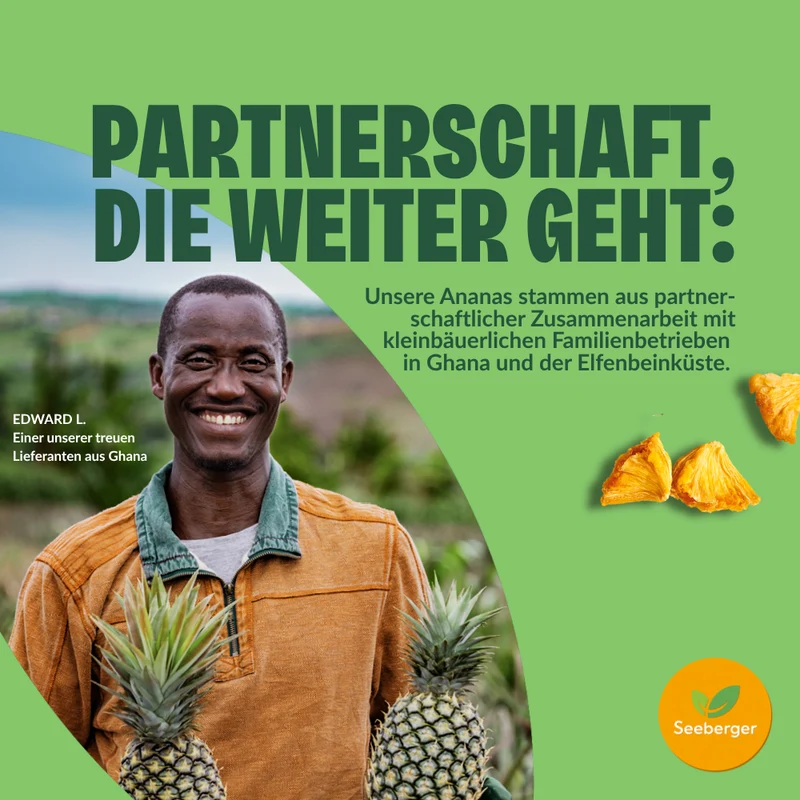 Seeberger getrocknete Ananas ungezuckert Multipack – 6 × 100 g natürlich süßer Fruchtgenuss, Fairtrade aus Ghana