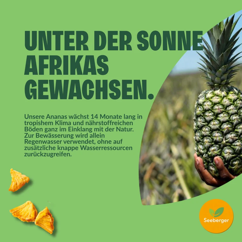 Seeberger getrocknete Ananas ungezuckert Multipack – 6 × 100 g natürlich süßer Fruchtgenuss, Fairtrade aus Ghana