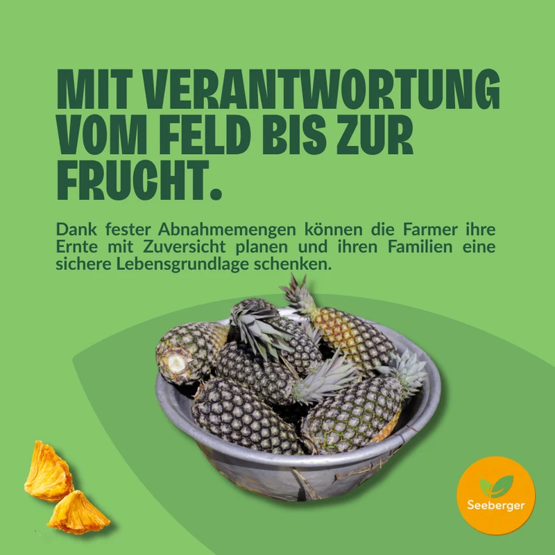 Seeberger getrocknete Ananas ungezuckert Multipack – 6 × 100 g natürlich süßer Fruchtgenuss, Fairtrade aus Ghana