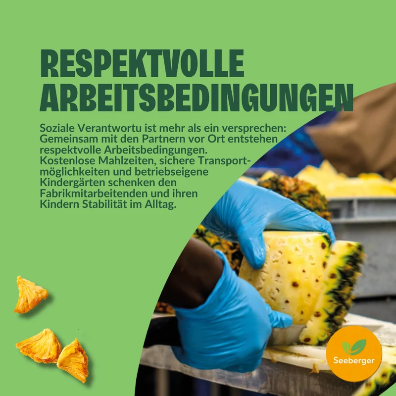 Seeberger getrocknete Ananas ungezuckert Multipack – 6 × 100 g natürlich süßer Fruchtgenuss, Fairtrade aus Ghana