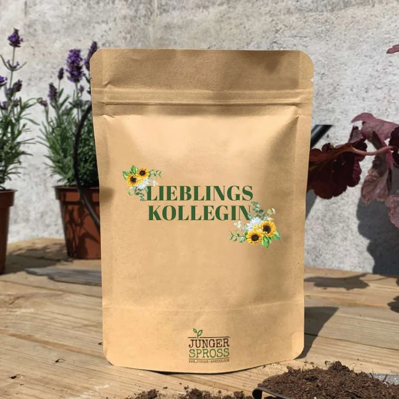 Geschenkbox Lieblingskollegin – Kekse, Blumen & liebe Worte