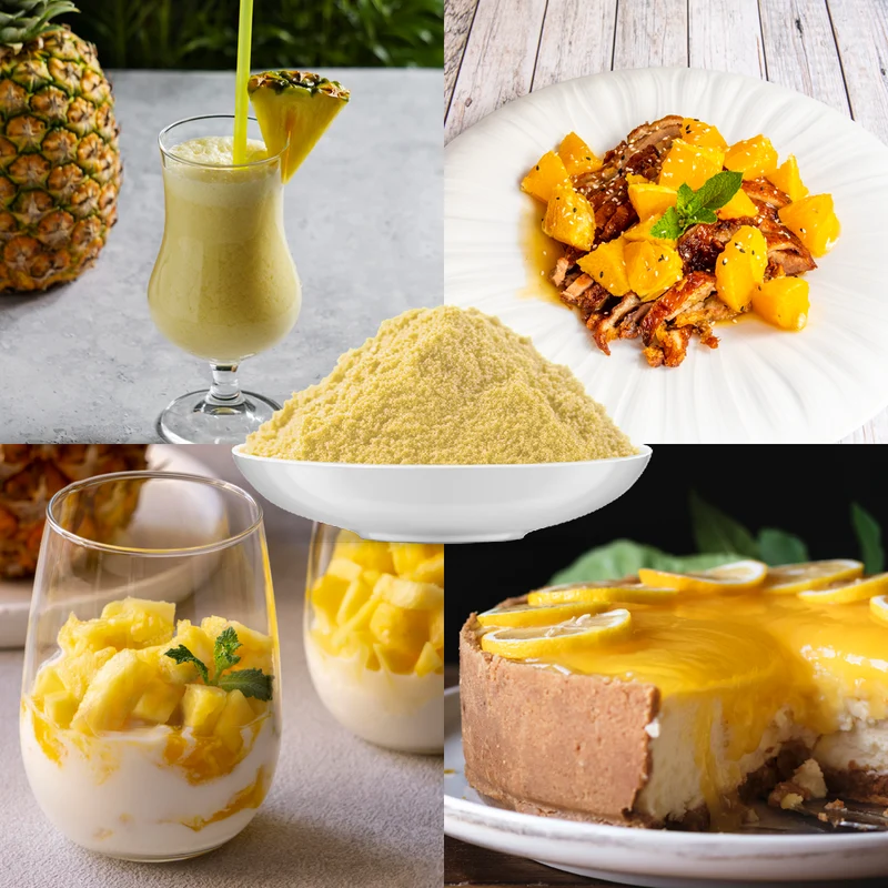 Bio Ananas Fruchtpulver (100g)