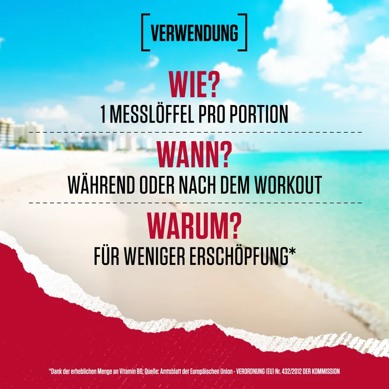 Amino X Aminosäuren BCAA (1000g)