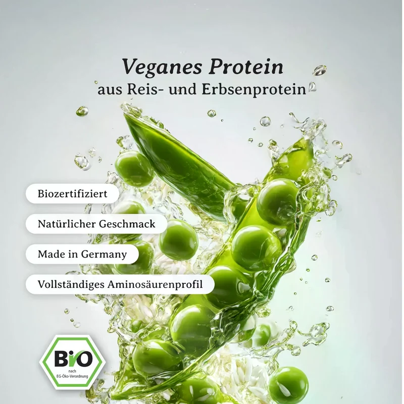 Vegan Protein bio (700g)