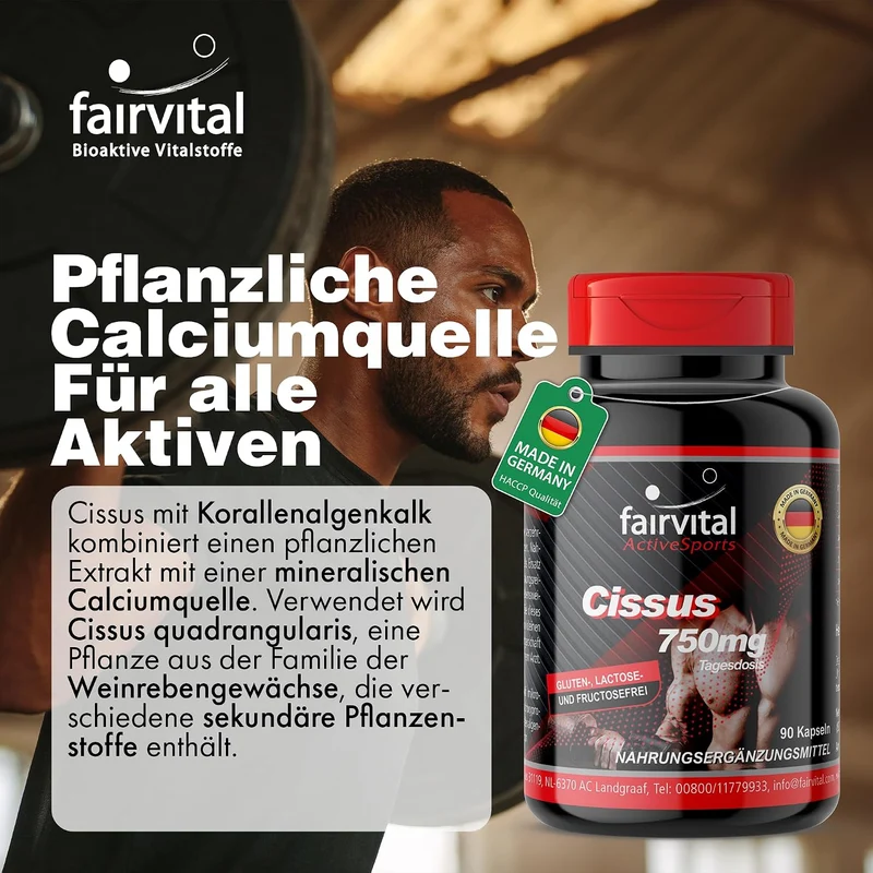 Cissus (90 Kapseln)