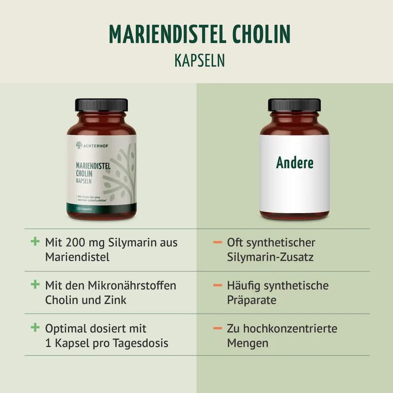 Mariendistel Cholin Kapseln (120 Kapseln)
