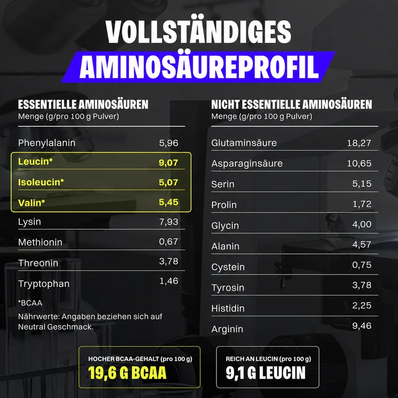 3 x Vegan Protein (1000g)