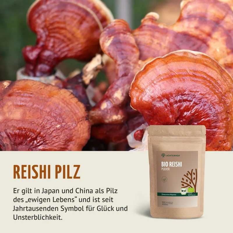 Bio Reishi Pilzpulver (250g)