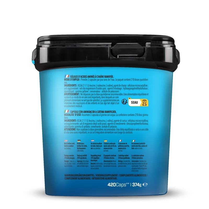 BIG PACK BCAA (420 Kapseln)