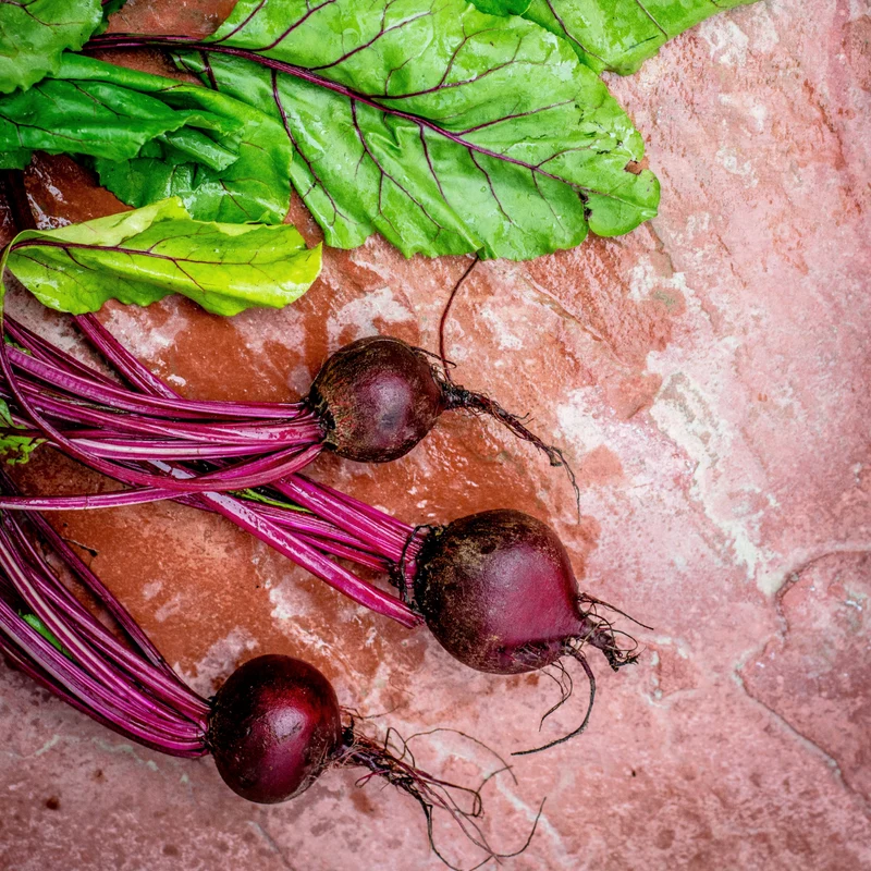 Rote Beete gemahlen Bio (500g)