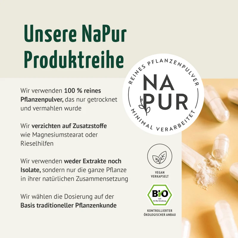 Bio Ashwagandha Kapseln Nachfüllpack (400 Kapseln)